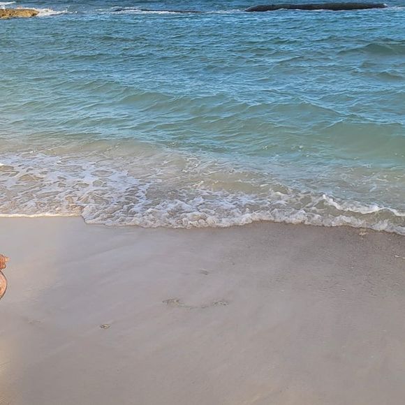 Meet your Posher, Sophie - Picture 1 of 1